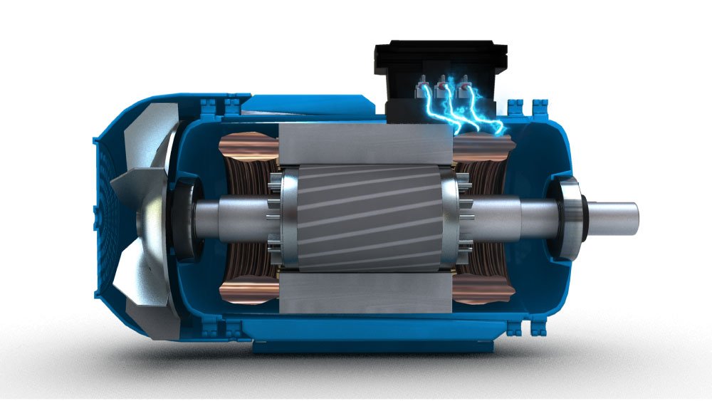 Top 6 Companies in Global  Electric  Motor Market